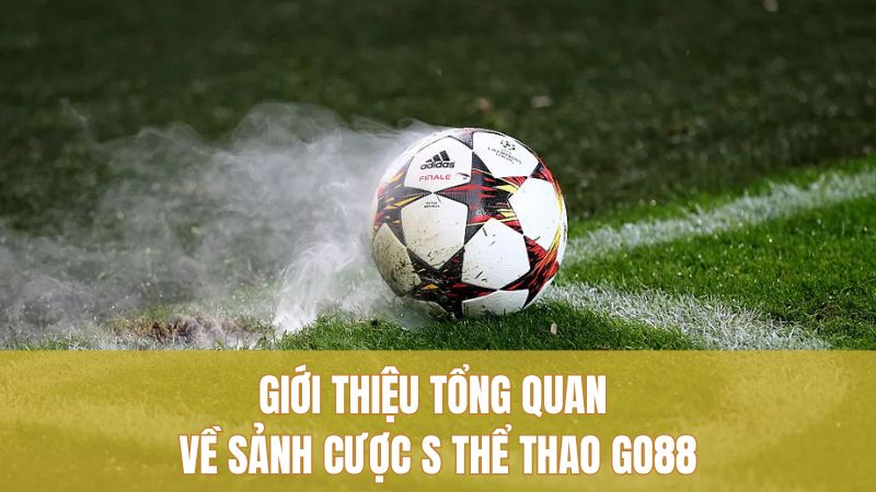 Giới thiệu tổng quan về sảnh cược S thể thao GO88